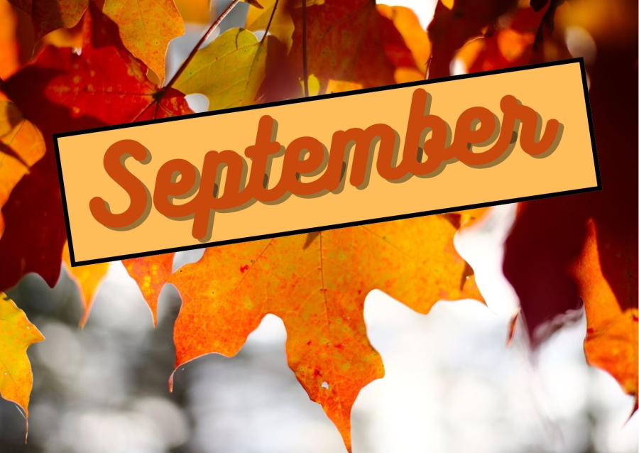 Upcoming Events - September - Killenaule and Moyglass Parish